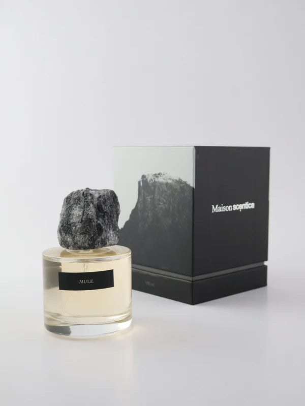Mule 100 ml Maison Scentica